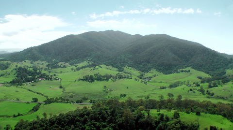 The Bellbird - Accommodation Gladstone 1