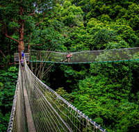 Thunderbird Park  - Tamborine Mountain Gold Coast Region - Accommodation Gladstone