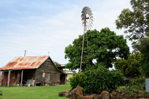 Tinaberries - Accommodation Gladstone 1