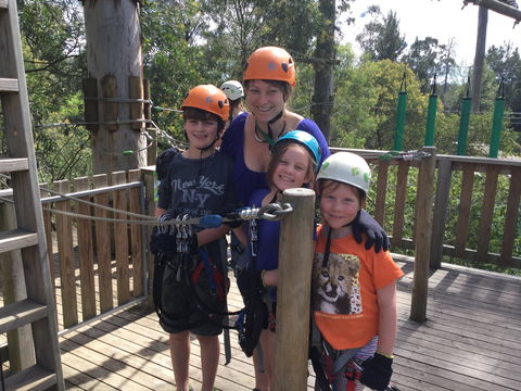 Trees Adventure - Glen Harrow Park - Accommodation Gladstone 1