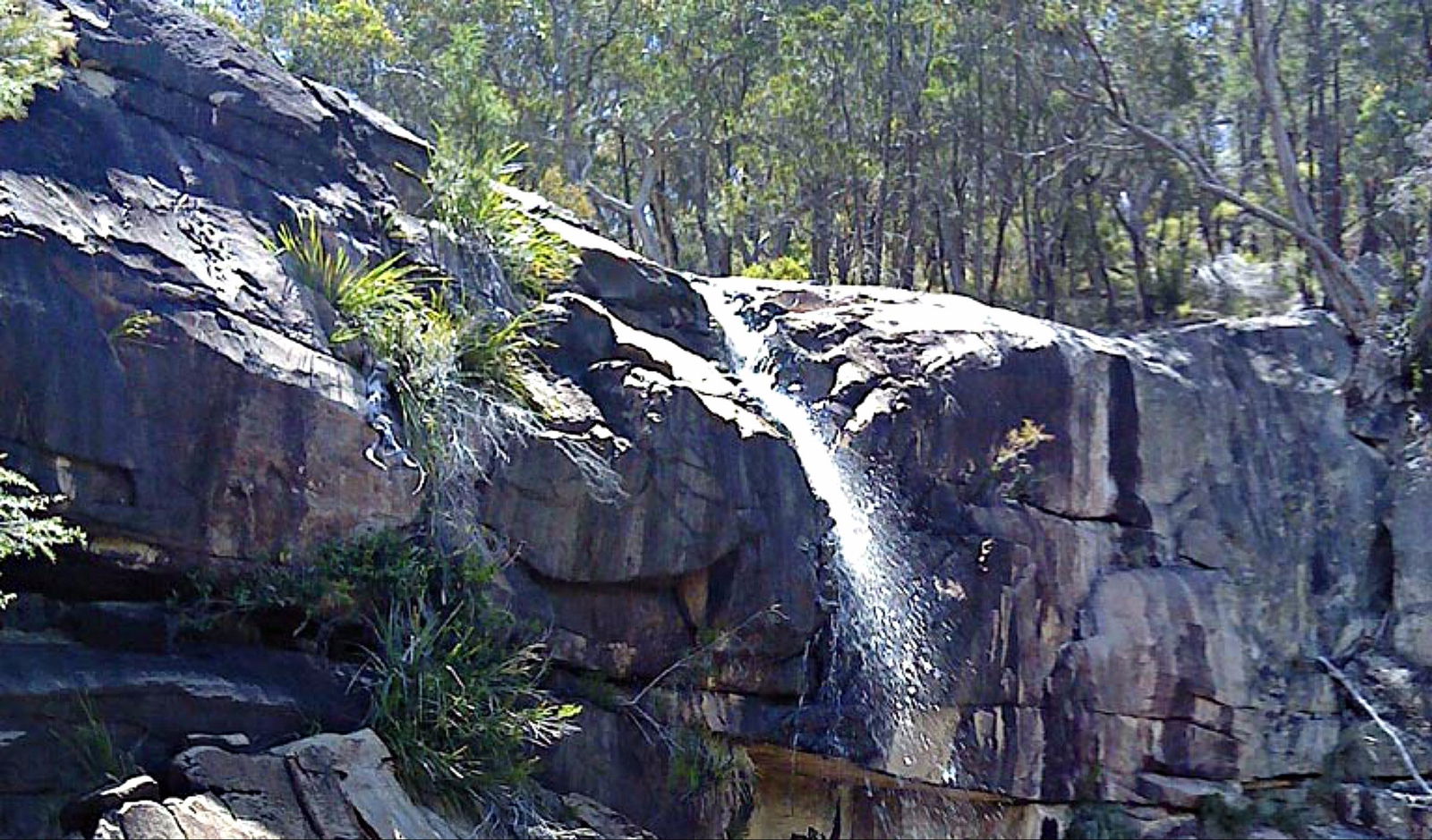 Torrington NSW Accommodation Gladstone