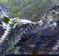 Ugly Corner Falls Walking Track - Accommodation Gladstone