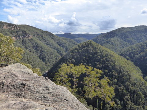 Vale Of Avoca - Accommodation Gladstone 0