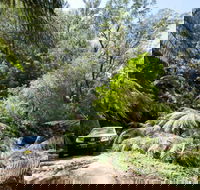 Wadbilliga Road drive - Accommodation Gladstone