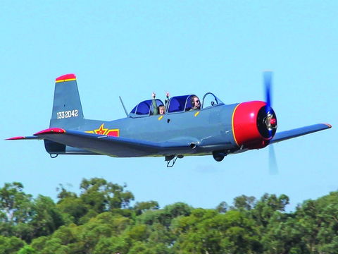 Warrior Warbirds - Open - Accommodation Gladstone 1