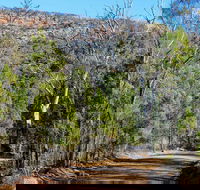 Weddin Gap to Black Spring Loop Trail - Accommodation Gladstone
