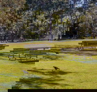 Wombeyan picnic area - Accommodation Gladstone