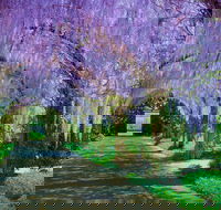 Alowyn Gardens and Nursery - Accommodation Gladstone