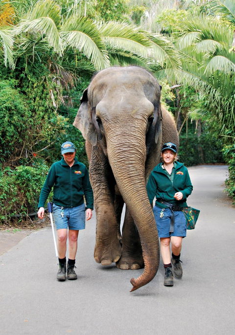 Animals And Family Fun - Accommodation Gladstone 2