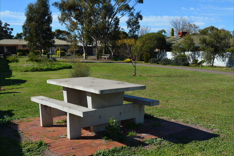 Apex Park & Picnic Area - Accommodation Gladstone 1