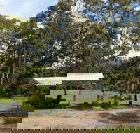 Back Creek picnic area - Accommodation Gladstone