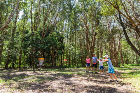 Ballina Disc Golf - Accommodation Gladstone 0