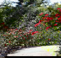 Benalla Botanical Gardens - Accommodation Gladstone