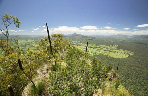 Border Ranges National Park - Accommodation Gladstone 0