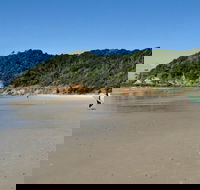 Broken Head Nature Reserve - Accommodation Gladstone