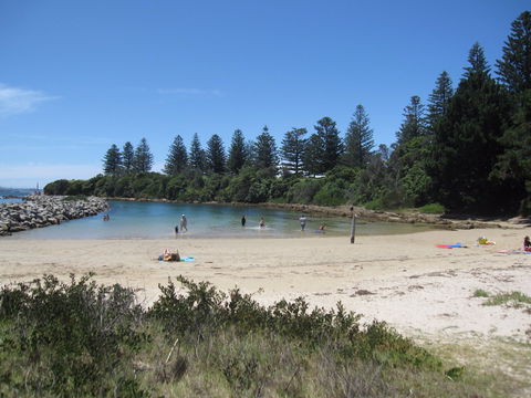 Bruce Steer Pool - Accommodation Gladstone 1