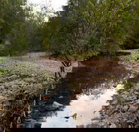 Budawang National Park - Accommodation Gladstone