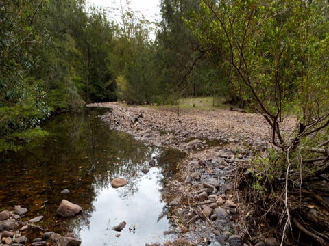 Budawang National Park - Accommodation Gladstone 0