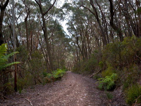 Budawang National Park - Accommodation Gladstone 1