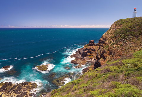 Bushrangers Bay Walking Track - Accommodation Gladstone 0