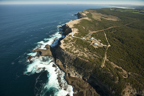Cape Nelson State Park - Accommodation Gladstone 1