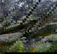 Cathedral Rock Track - Accommodation Gladstone