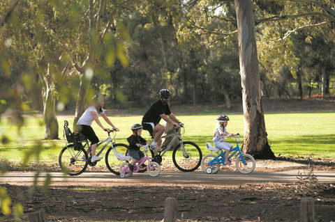 Coast To Vines Rail Trail - Accommodation Gladstone 1