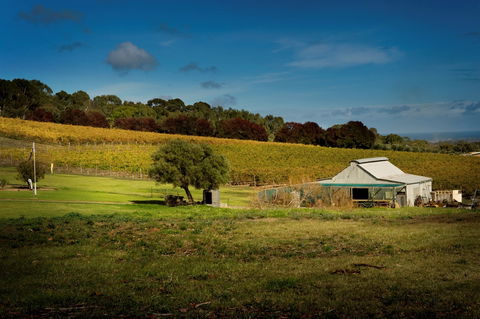 Coast To Vines Rail Trail - Accommodation Gladstone 2