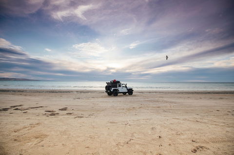 Coorong National Park - Accommodation Gladstone 0