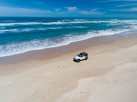 Coorong National Park - Accommodation Gladstone 1
