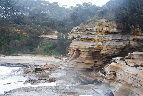 Cookies Beach Picnic Area - South Durras - Accommodation Gladstone 2