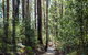 Coopernook Forest HQ - thumb 1
