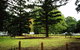 Coopernook Forest HQ - thumb 2