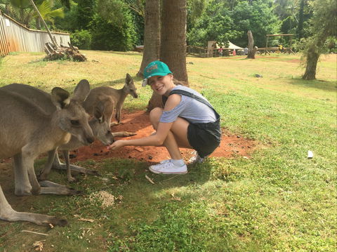 Cooberrie Park Wildlife Sanctuary - Accommodation Gladstone 1