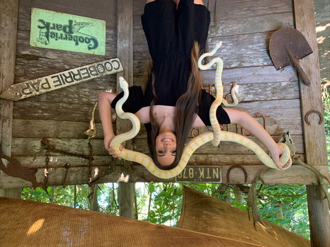 Cooberrie Park Wildlife Sanctuary - Accommodation Gladstone 2