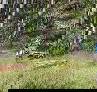 Federal Falls Walk - Accommodation Gladstone