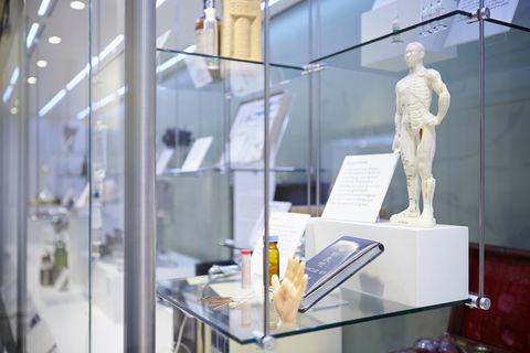 Geoffrey Kaye Museum Of Anaesthetic History - Accommodation Gladstone 1