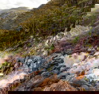 Gibraltar Range National Park - Accommodation Gladstone