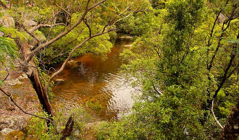 Girrakool Loop Track - Accommodation Gladstone 0