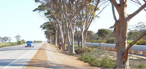 Golden Pipeline Heritage Trail - Accommodation Gladstone 0