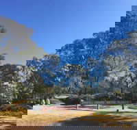 Grenfell Endemic Garden - Accommodation Gladstone