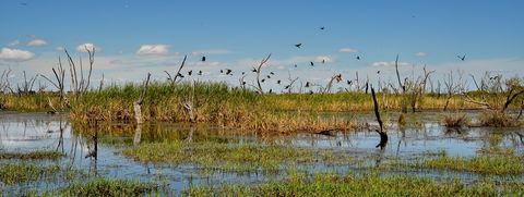 Gwydir Wetlands Moree - Accommodation Gladstone 1