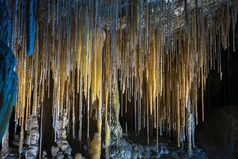 Hastings Caves And Thermal Springs - Accommodation Gladstone 0