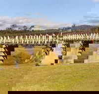 Historic Tabulam DeBurgh Timber Bridge - Accommodation Gladstone