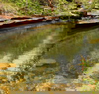 Hominy Creek Walking Track - Accommodation Gladstone