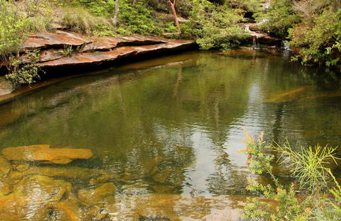 Hominy Creek Walking Track - Accommodation Gladstone 0