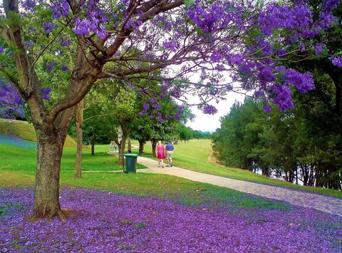 Howe Park - Accommodation Gladstone 0