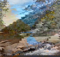 Ingleburn Reserve - Accommodation Gladstone