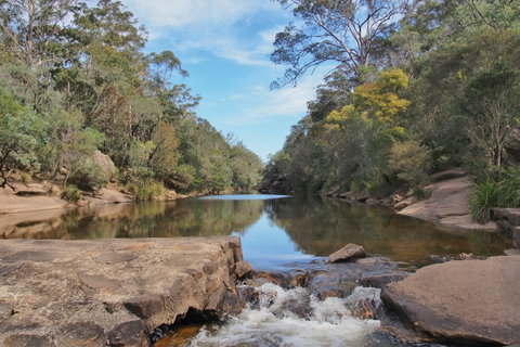 Ingleburn Reserve - Accommodation Gladstone 0