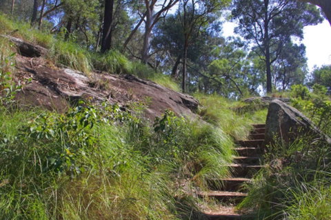 Ingleburn Reserve - Accommodation Gladstone 2